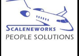 Хочу узнать что y компания Scalaneworks people solutions есть лицензия?