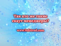 Скаут-менеджер — Так кто же такие скаут менеджеры?