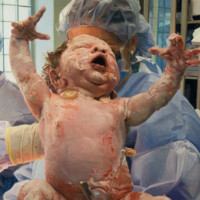 Картины Алиссы Монкс Картины Алиссы Монкс