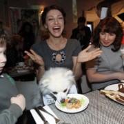 Ксения Собчак плотно занялась собаками Ксения Собчак плотно занялась собаками