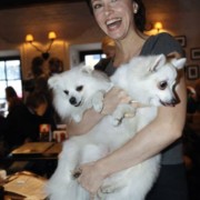 Ксения Собчак плотно занялась собаками Ксения Собчак плотно занялась собаками